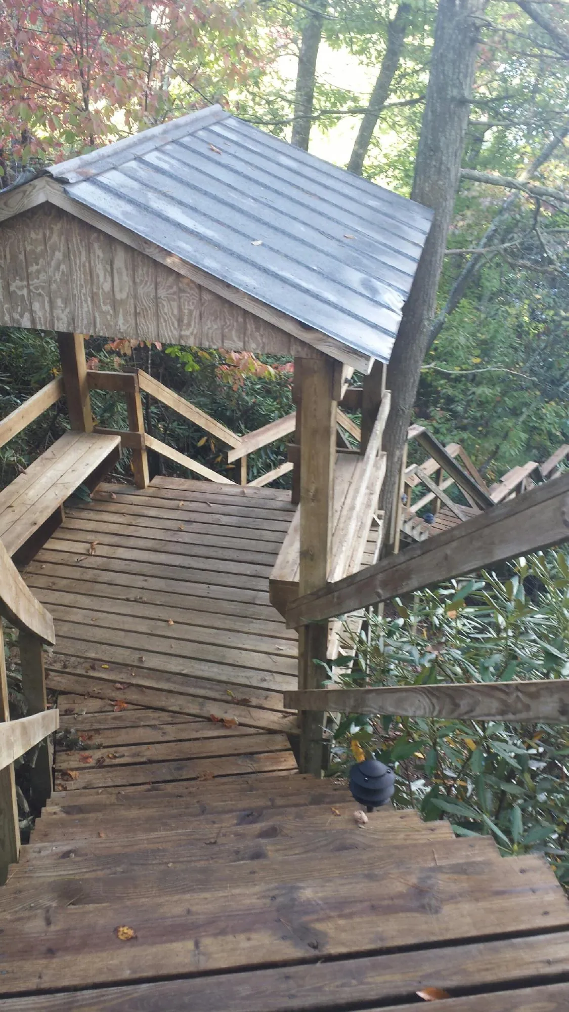 Metal roofed shelter over wooden steps on a wooded walkway — Skylight Repair & Installation work by our crew in Bay Center