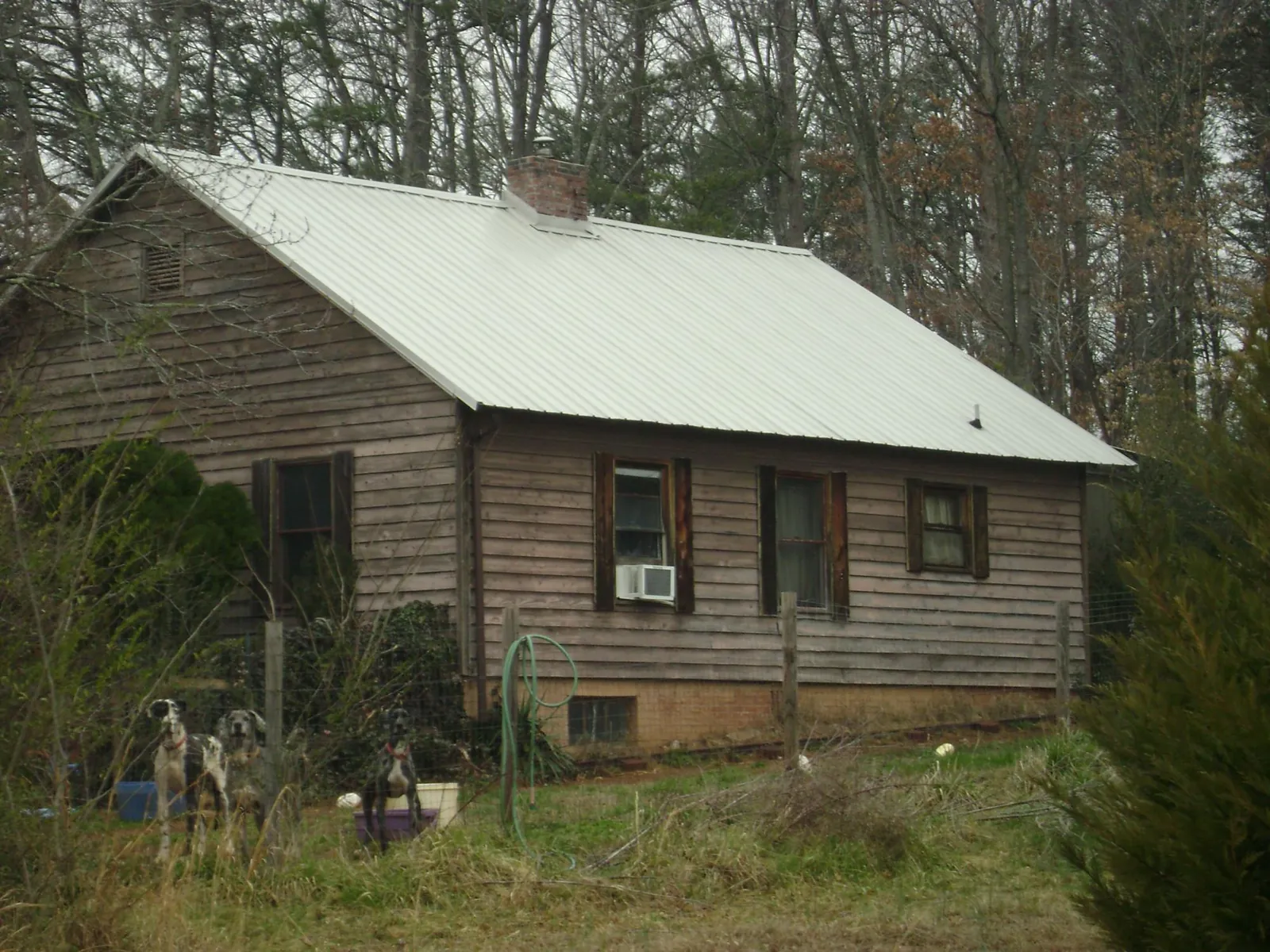 White metal roof on an old wood sided farmhouse, from a Metal Roof Installation job in Bay Center